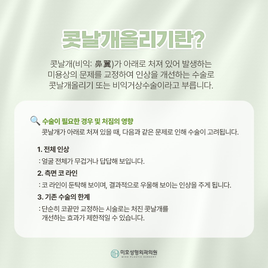 콧날개올리기 처진 코 교정 관련 이미지 2