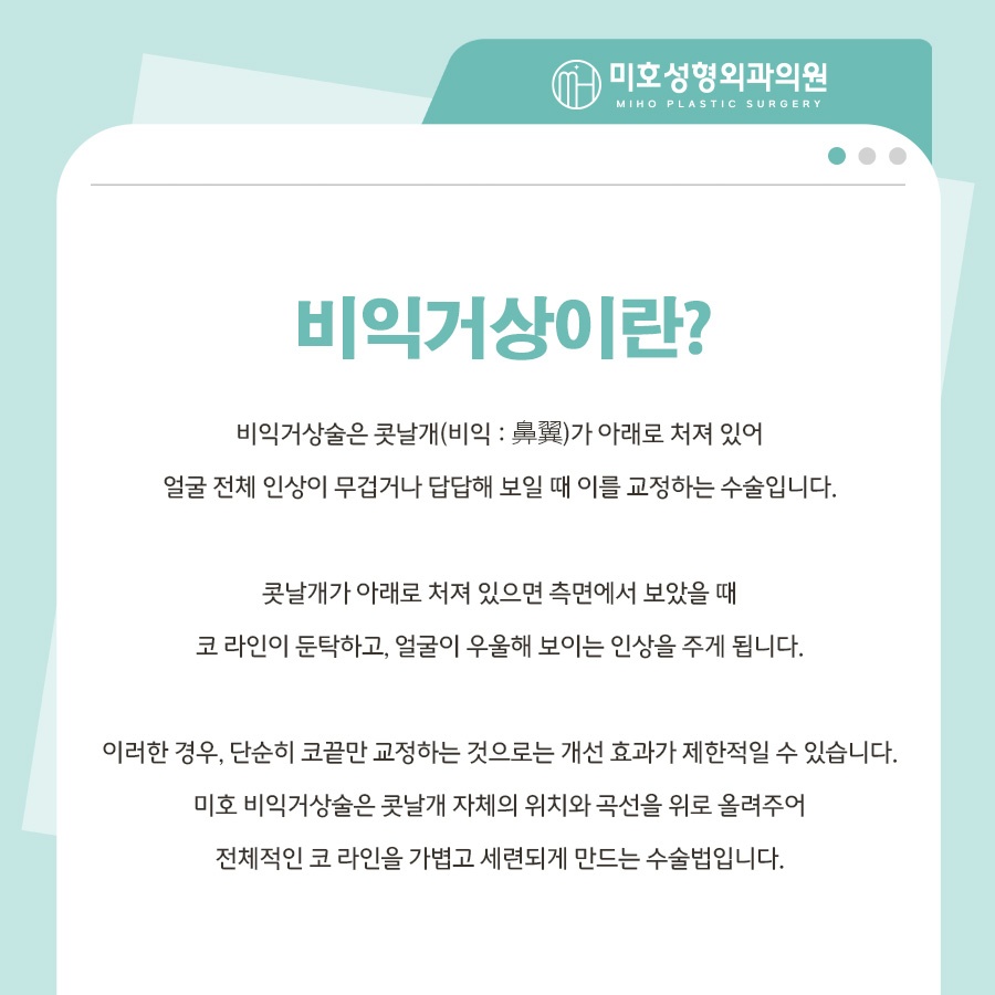 미호 비익거상 자연스러운 콧날개올리기 비율교정! 관련 이미지 2