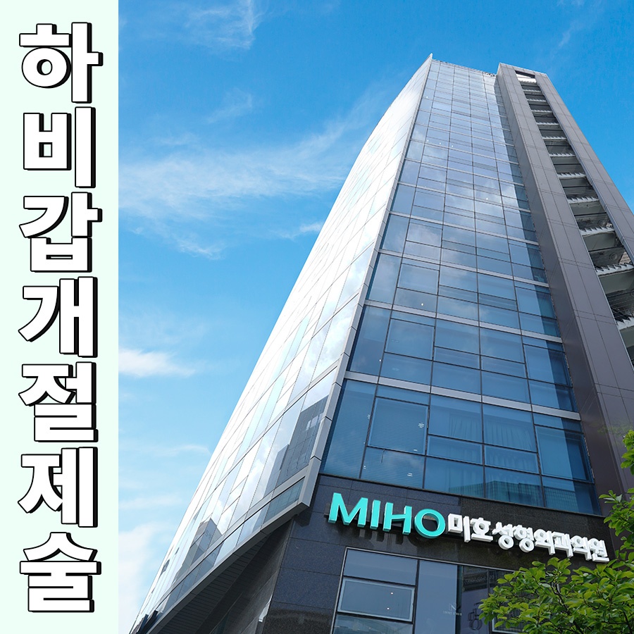 하비갑개절제술 코막힘 개선 방법 관련 이미지 1