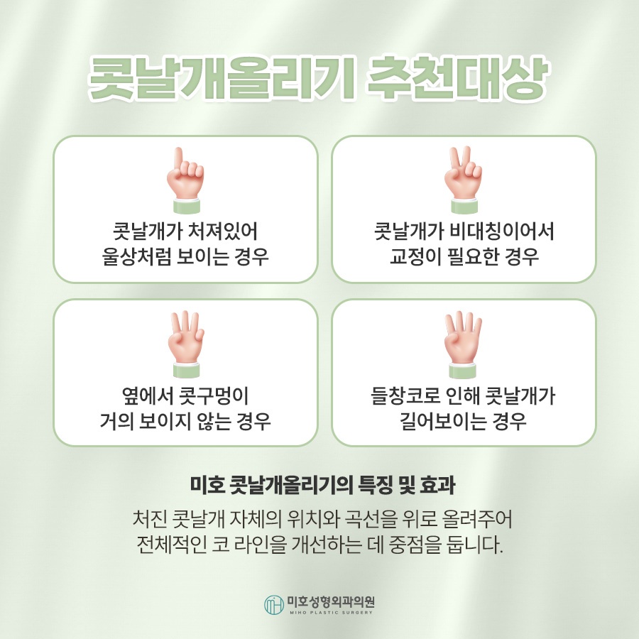 콧날개올리기 처진 코 교정 관련 이미지 3