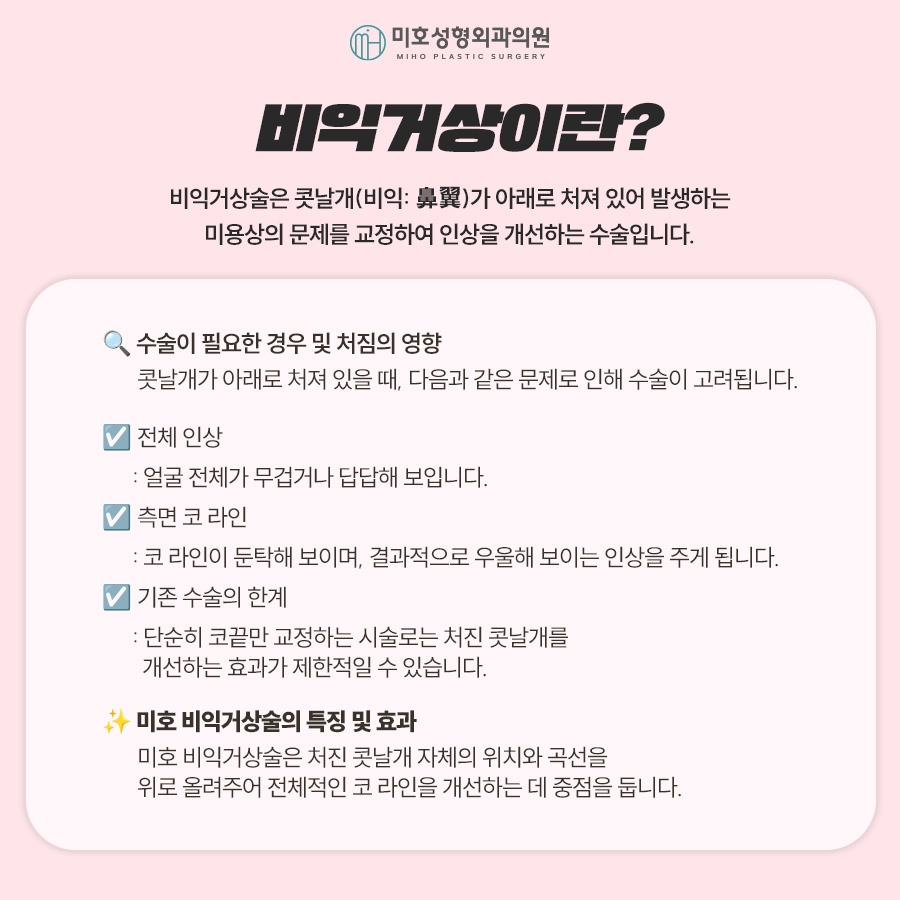 비익거상 맞춤 비율을 찾아주는 미호 관련 이미지 2