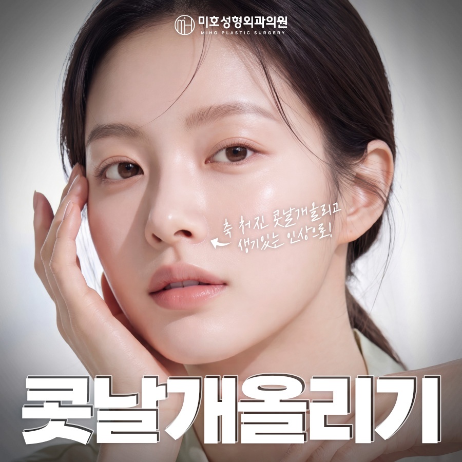 콧날개올리기 비익거상 기준 살펴보고 관련 이미지 1