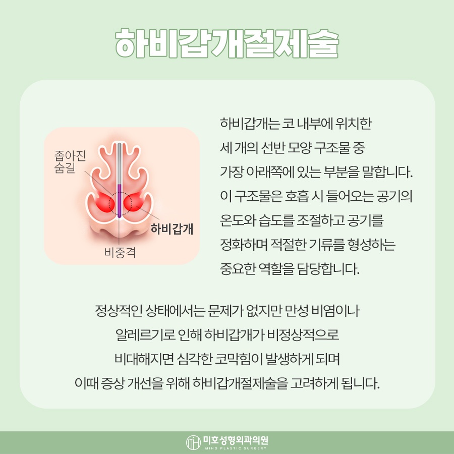 하비갑개절제술 코막힘 개선 방법 관련 이미지 2