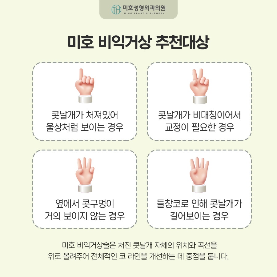 비익거상으로 예쁜 코 만드는 비결 총정리 관련 이미지 5
