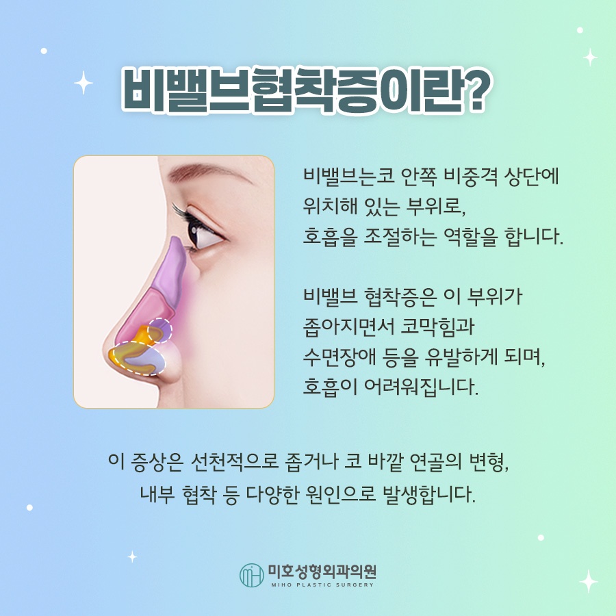 비밸브재건술 진행시 고려할 부분 관련 이미지 2
