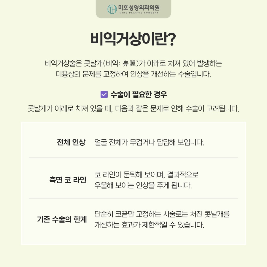 비익거상으로 예쁜 코 만드는 비결 총정리 관련 이미지 2