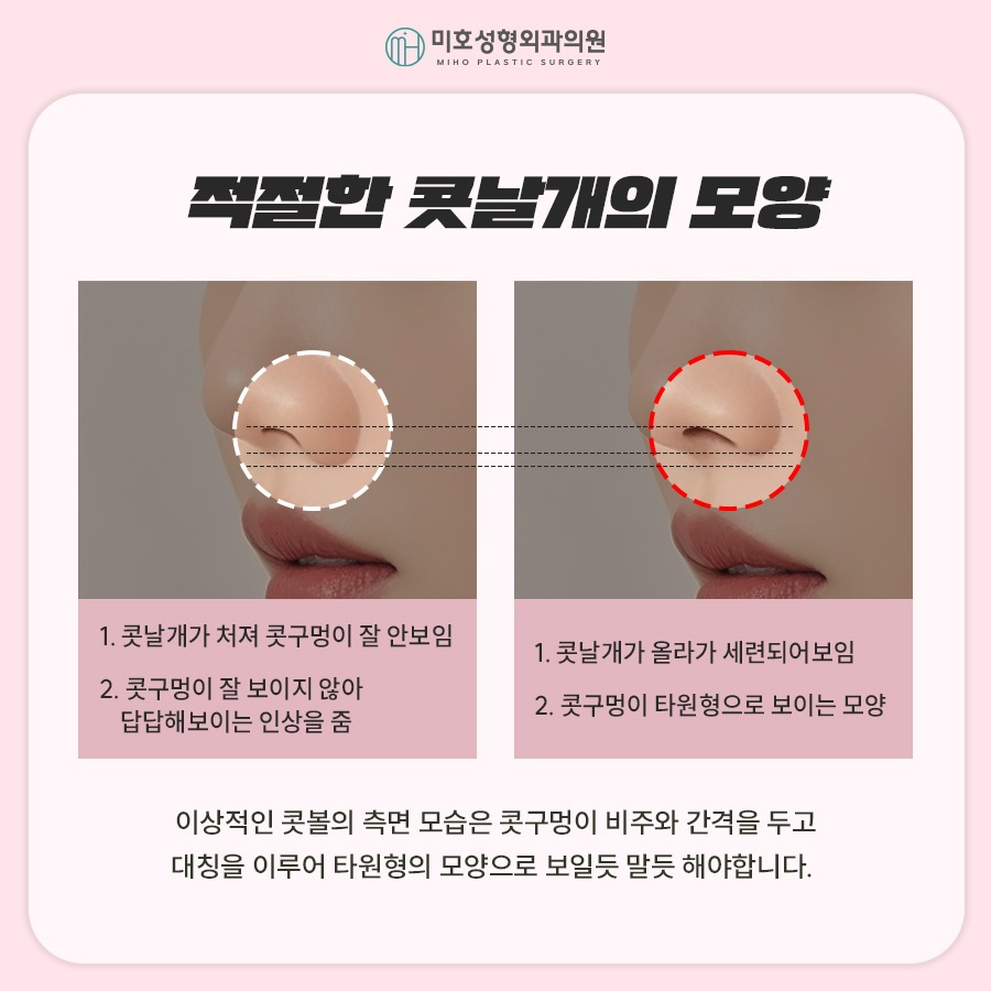 비익거상 맞춤 비율을 찾아주는 미호 관련 이미지 4