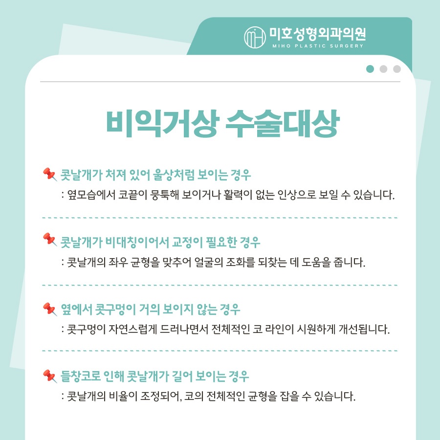 미호 비익거상 자연스러운 콧날개올리기 비율교정! 관련 이미지 3
