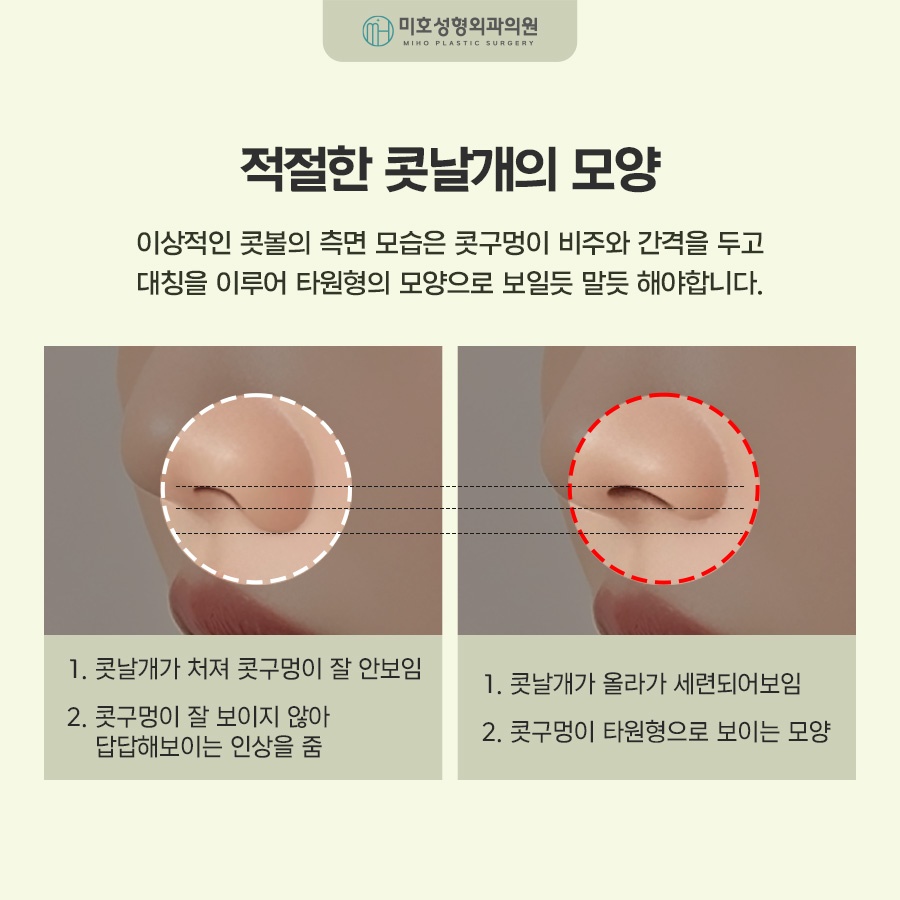 비익거상으로 예쁜 코 만드는 비결 총정리 관련 이미지 3