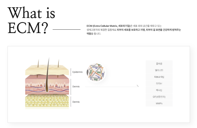 An Injection That Lets the Skin Become Healthy on Its Own? Elravie RE20 image 2