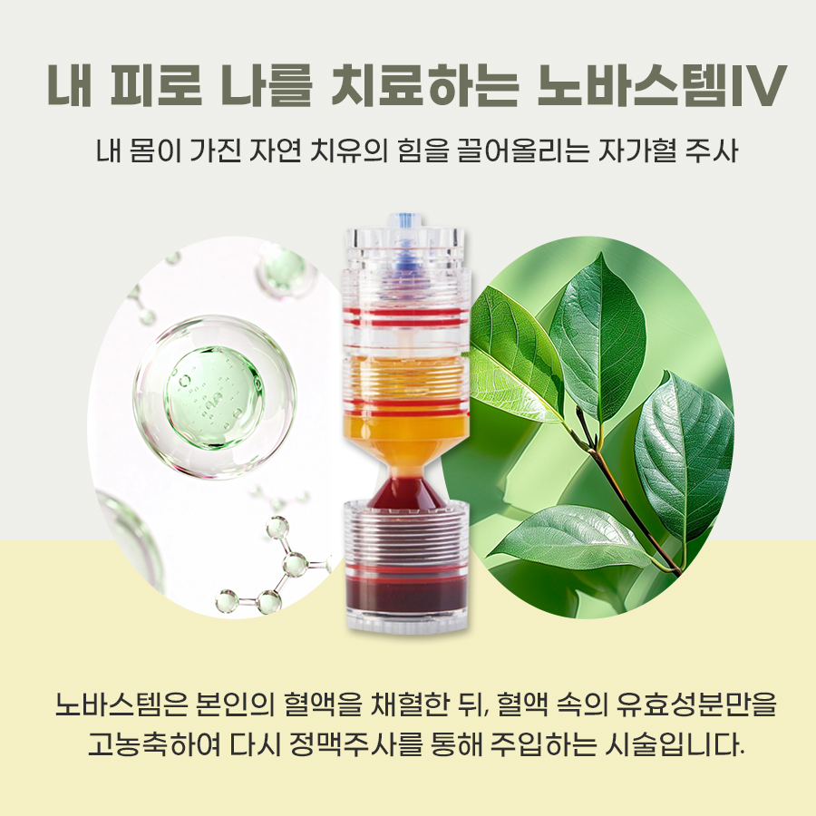 노바스템 줄기세포, 왜 찾는 분들이 많아졌을까요? 관련 이미지 2