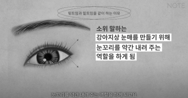 Double Eyelid Surgery: Is There a Procedure That Makes the Eyes Even Prettier When Done Together? A Great Place for Eye Plastic Surgery in Gangnam — NOTE Plastic Surgery: Canthoplasty, Ptosis Correction, and Forehead Lift image 23
