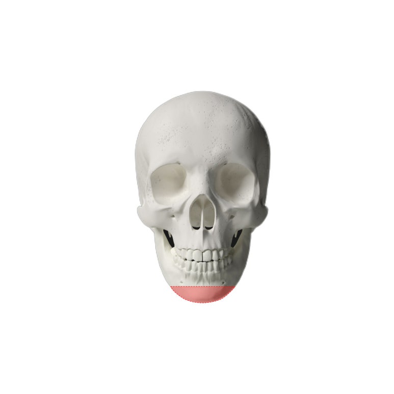 Contours for Men, Note Plastic Surgery Men’s Contouring image 6