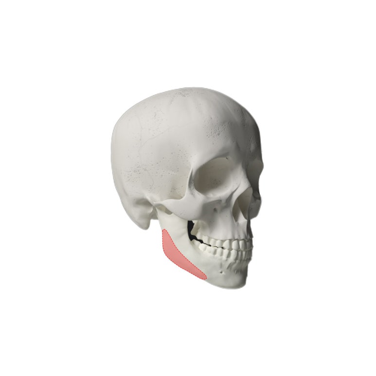 Contours for Men, Note Plastic Surgery Men’s Contouring image 4