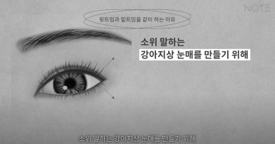 Double Eyelid Surgery: Is There a Procedure That Makes the Eyes Even Prettier When Done Together? A Great Place for Eye Plastic Surgery in Gangnam — NOTE Plastic Surgery: Canthoplasty, Ptosis Correction, and Forehead Lift image 22