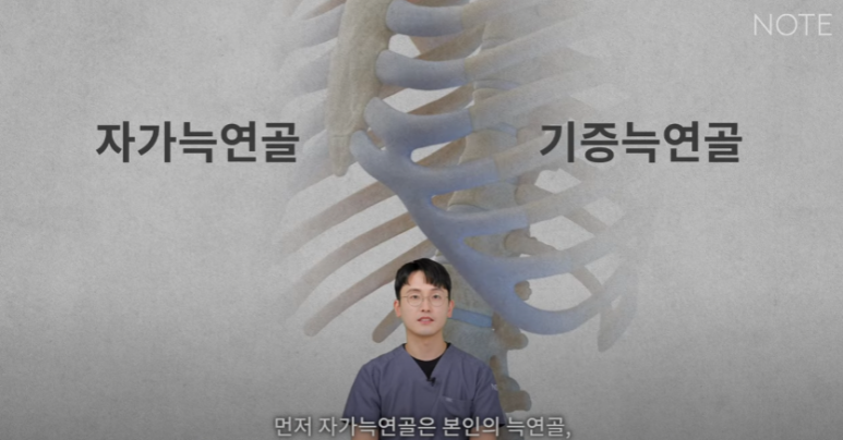 Recommended place for rhinoplasty in Gangnam: Nohyeon Note Plastic Surgery explains the difference between autologous rib cartilage and donated rib cartilage! image 3