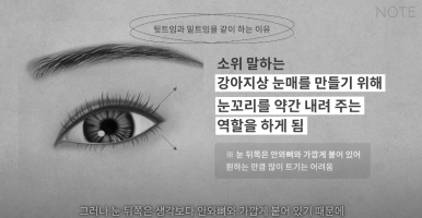Double Eyelid Surgery: Is There a Procedure That Makes the Eyes Even Prettier When Done Together? A Great Place for Eye Plastic Surgery in Gangnam — NOTE Plastic Surgery: Canthoplasty, Ptosis Correction, and Forehead Lift image 24