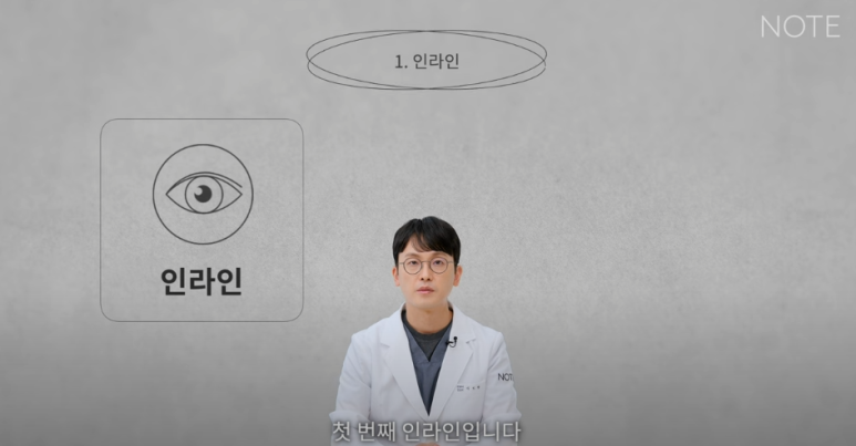 논현역 눈성형 잘하는 곳 노트성형외과의 인라인, 인아웃라인, 아웃라인 쌍꺼풀라인별 쌍꺼풀수술 후 느낌 미리보기 관련 이미지 2