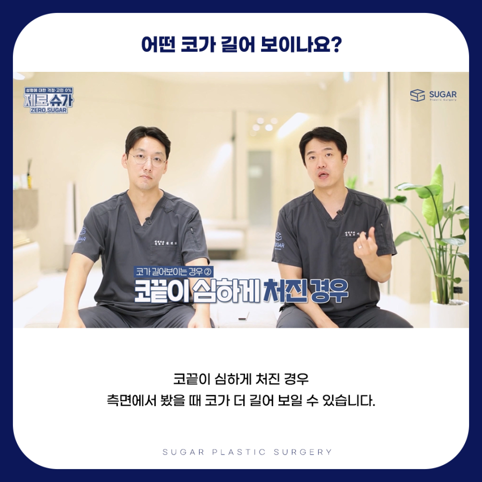 긴코 VS 짧은코 관련 이미지 4