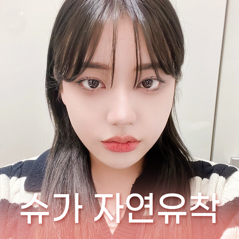 연예인쌍수라인으로 보는 쌍꺼풀라인 관련 이미지 1