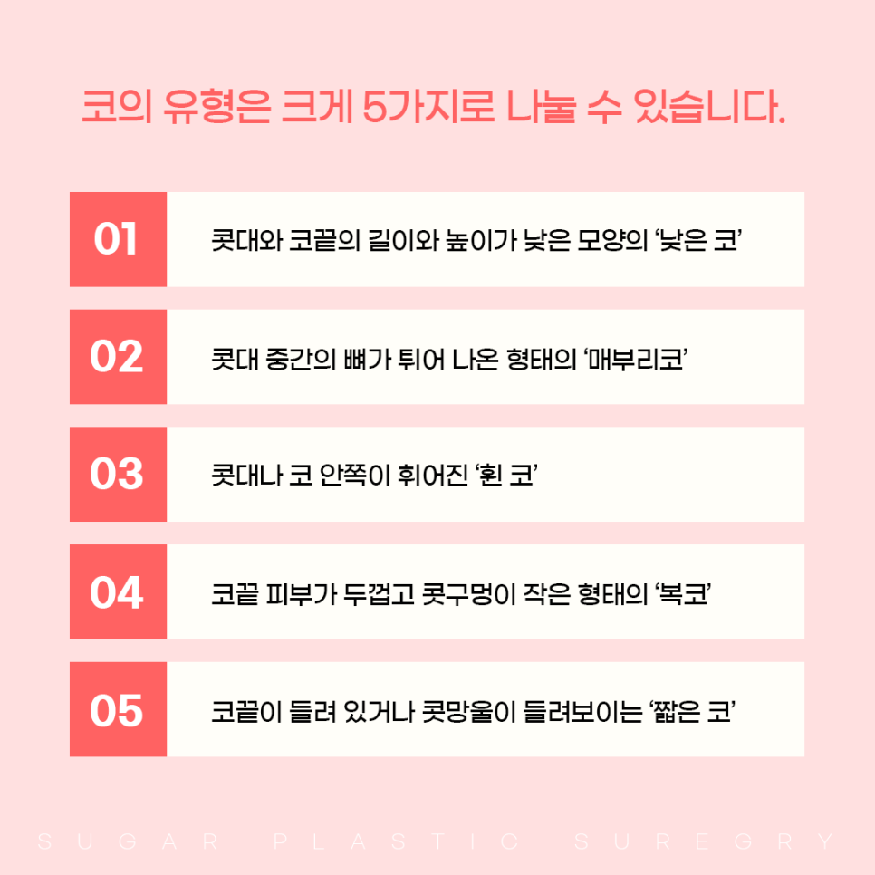 코 유형에 따른 코성형 방법 관련 이미지 2