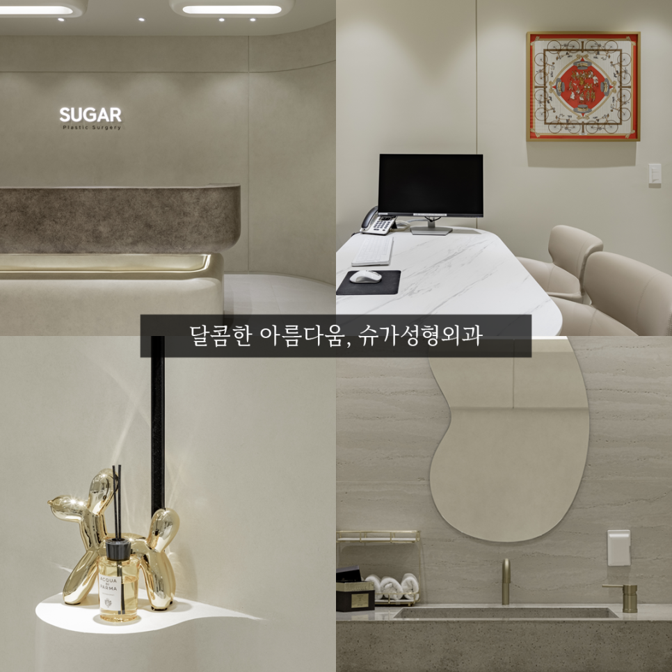 짝눈 교정 종류부터 해결까지 관련 이미지 19
