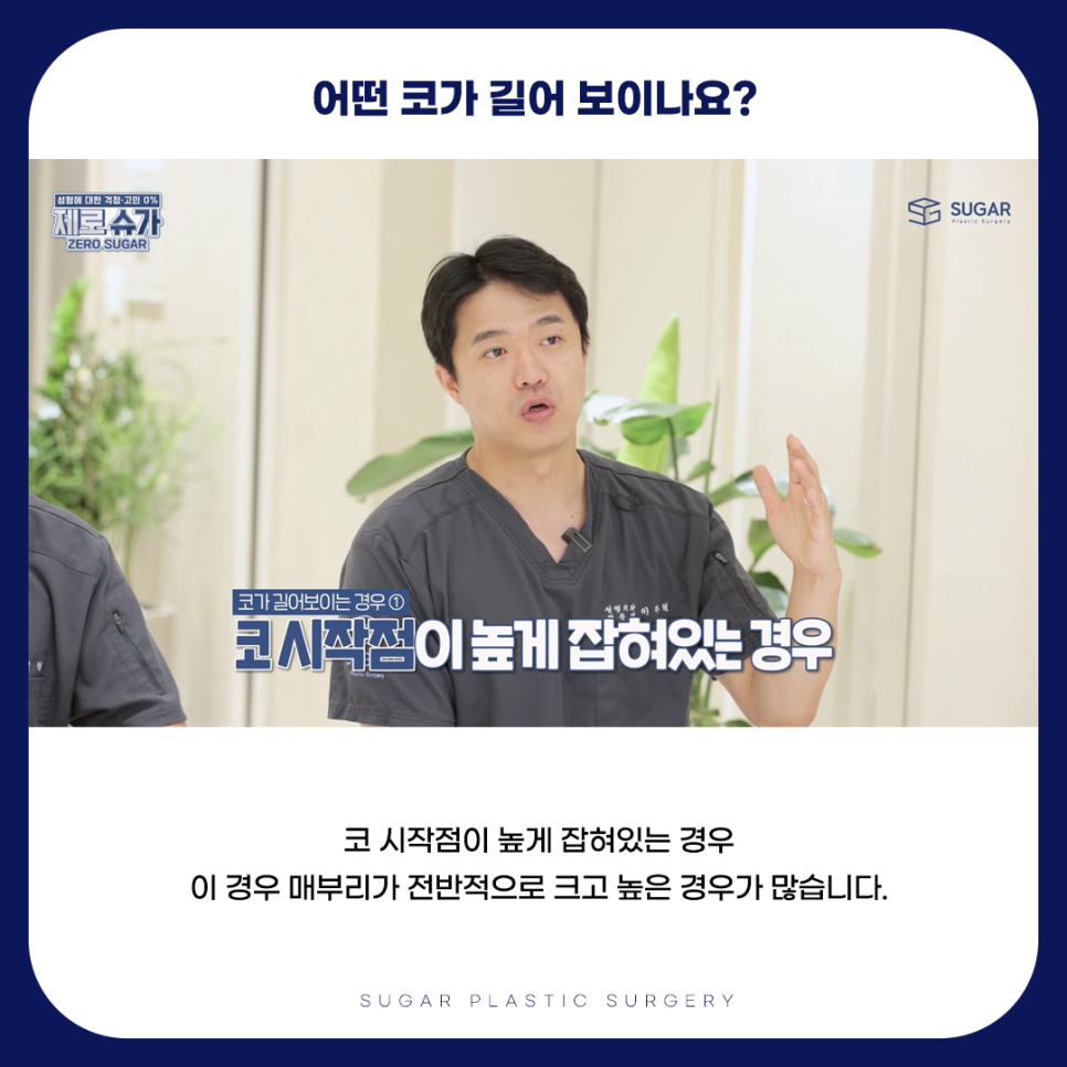 긴코 VS 짧은코 관련 이미지 3