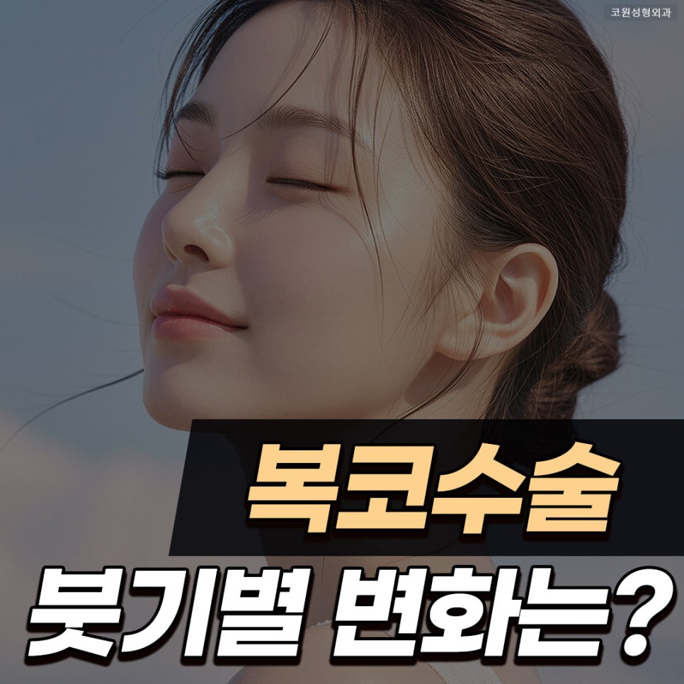 코끝연골묶기 붓기 복코 라인 변화와 회복 과정 관련 이미지 1