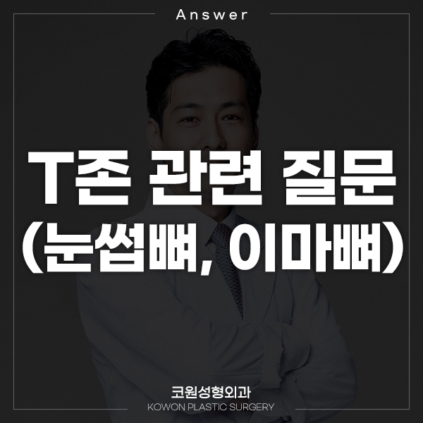 Q. 눈썹뼈에서 콧대로 이어지는 T존 관련 질문입니다. 관련 이미지 1