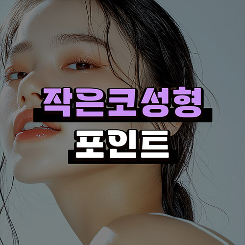 작은코성형에서 입체감 있는 코 라인을 만드는 핵심 3가지 관련 이미지 1