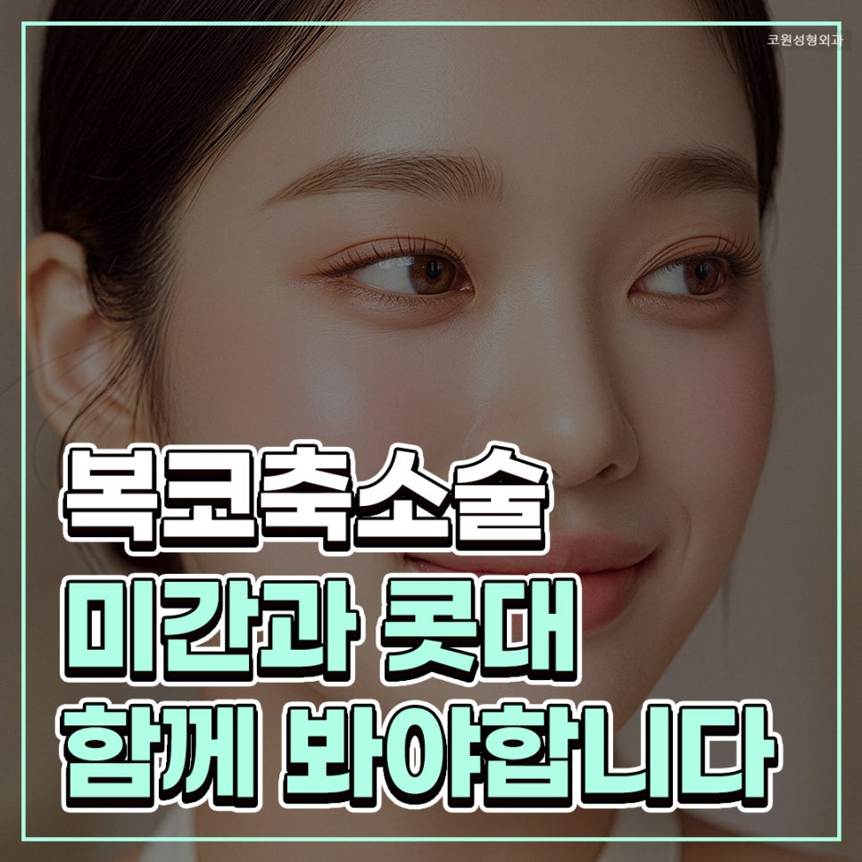 복코수술전후 코끝만 줄이기보다 미간과 콧대 흐름을 함께 보는 이유 관련 이미지 1
