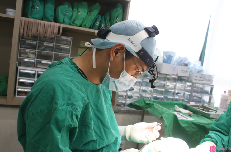 Low Nose Rhinoplasty: A Change to a More Three-Dimensional Impression, 3 Questions About Tip Cartilage Repositioning image 6