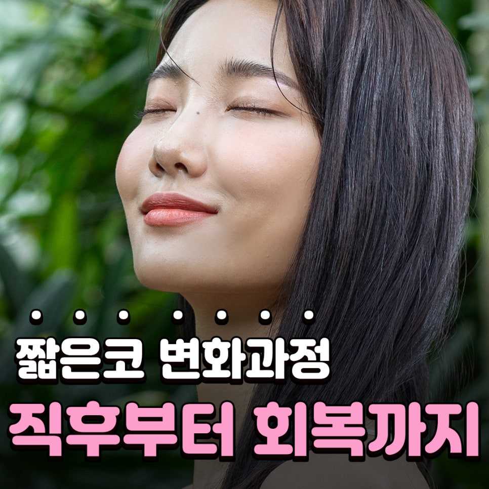 짧은코 성형 전후 얼마나 변할까? 짧은코 변화 과정과 회복까지 관련 이미지 1