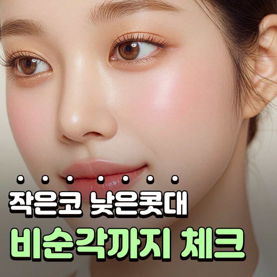 낮은코성형 코끝부터 비순각까지 함께 봐야 하는 3가지 이유 관련 이미지 1