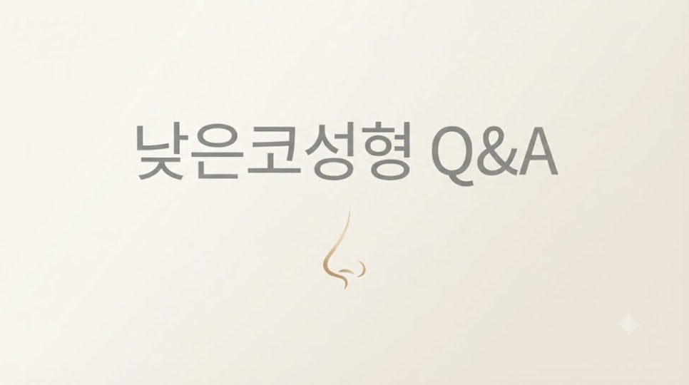 낮은코성형 코끝부터 비순각까지 함께 봐야 하는 3가지 이유 관련 이미지 3
