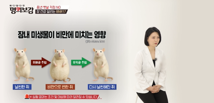 [TV조선 명의보감] 오정민 원장이 분석한 BNR17, 논문으로 입증된 체지방 감소 효과는? 관련 이미지 2
