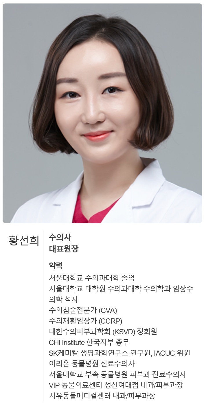 우리 강아지 사마귀 냉동치료로 제거가 가능할까요? 관련 이미지 10