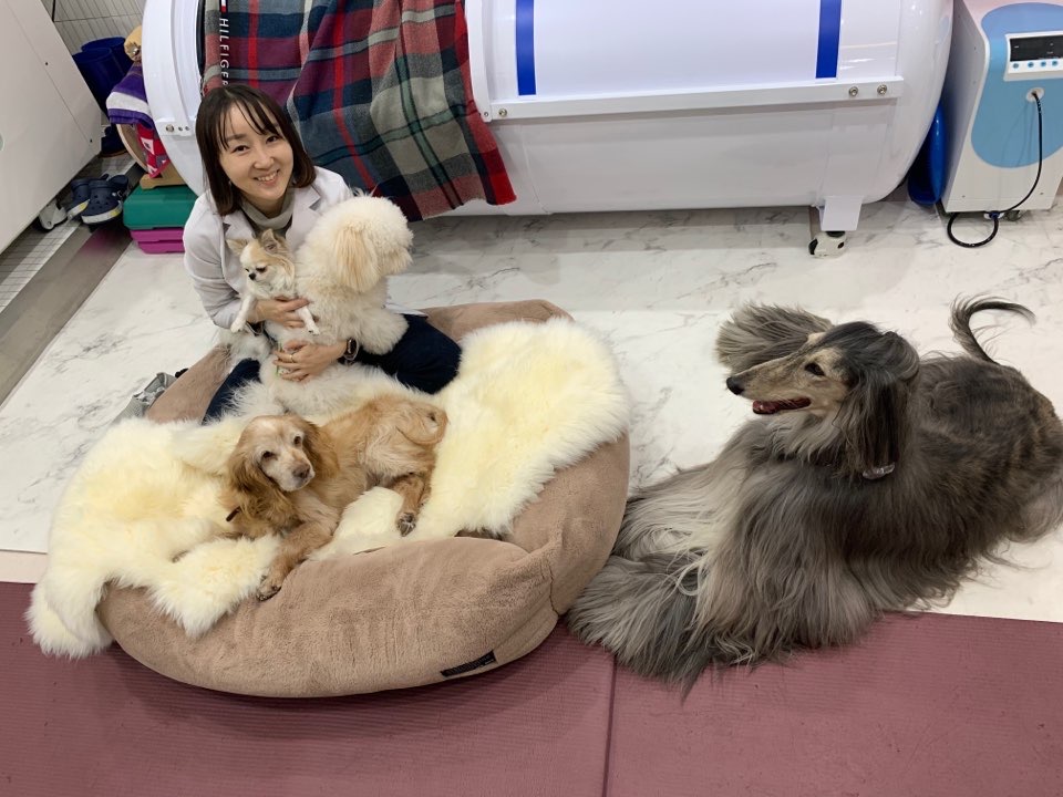 이을 반려동물케어센터 관련 이미지 1