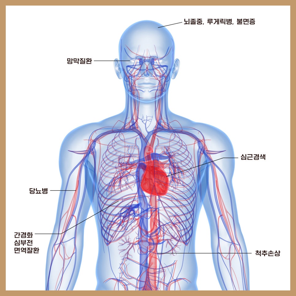 불면증, 줄기세포로 답을 찾다 관련 이미지 3