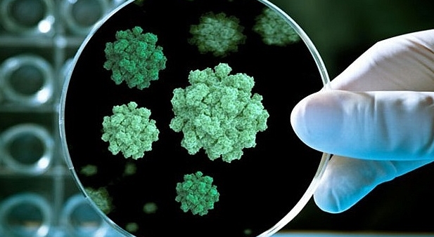 [항 바이러스제] herpes virus (헤르페스 바이러스) ② 관련 이미지 1