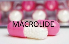 마크로라이드(macrolides)항생제 ① 관련 이미지 1