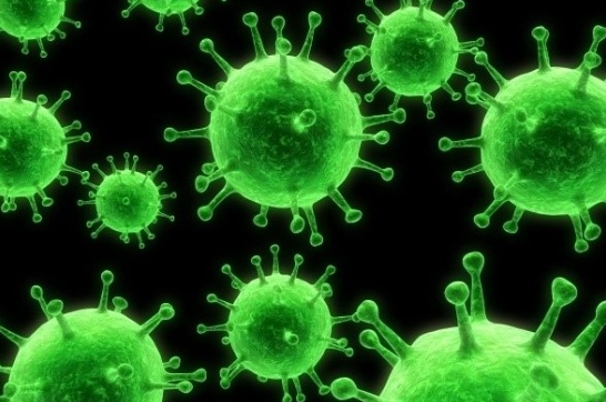 [항 바이러스제] Virus 란? ① 관련 이미지 1