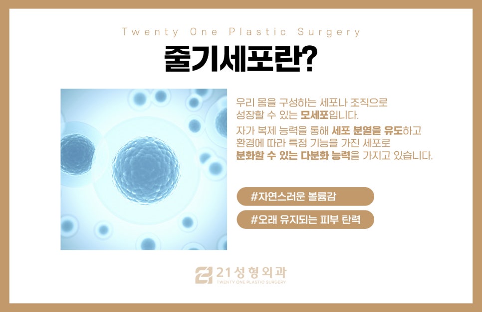 줄기세포지방이식과 일반 지방이식 중 최고의 선택은 관련 이미지 5