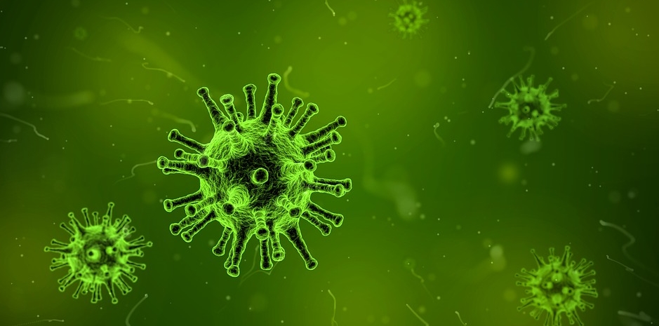 [항 바이러스제] Virus 란? ① 관련 이미지 2