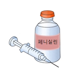 [페니실린] ② 약물 동력학 및 내성 기전 관련 이미지 2