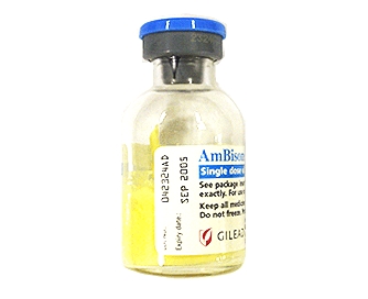 [항진균제] ② 암포테리신 비(amphotericin B) 관련 이미지 2