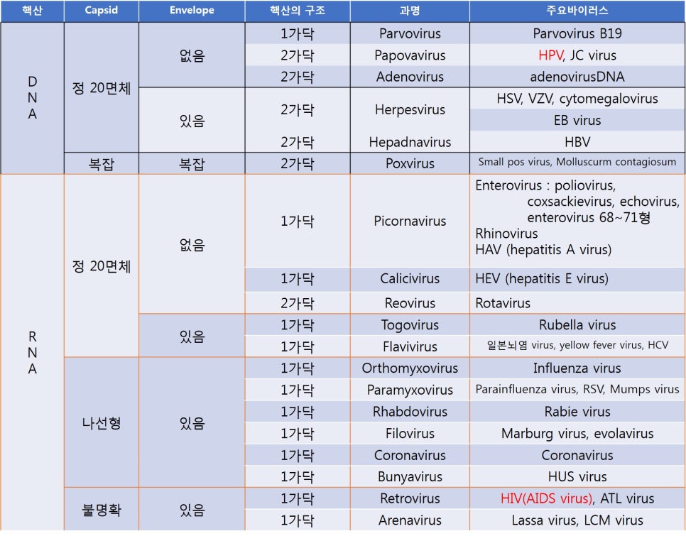 [항 바이러스제] Virus 란? ① 관련 이미지 5