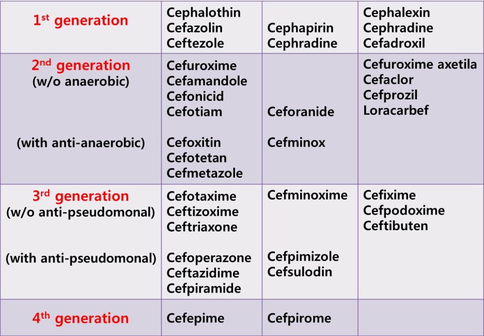 세파(cephalosporin) 항생제 ① 관련 이미지 4