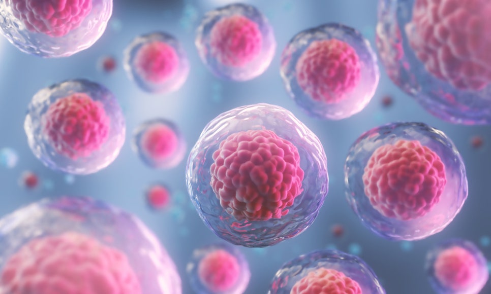 From Fat Reduction to Skin Regeneration: 21 Plastic Surgery’s Area-Specific Approach image 3