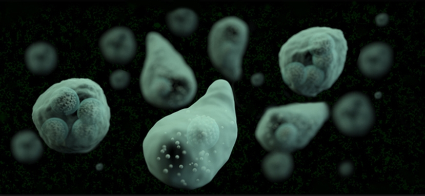 메트로니다졸(metronidazole) 관련 이미지 5